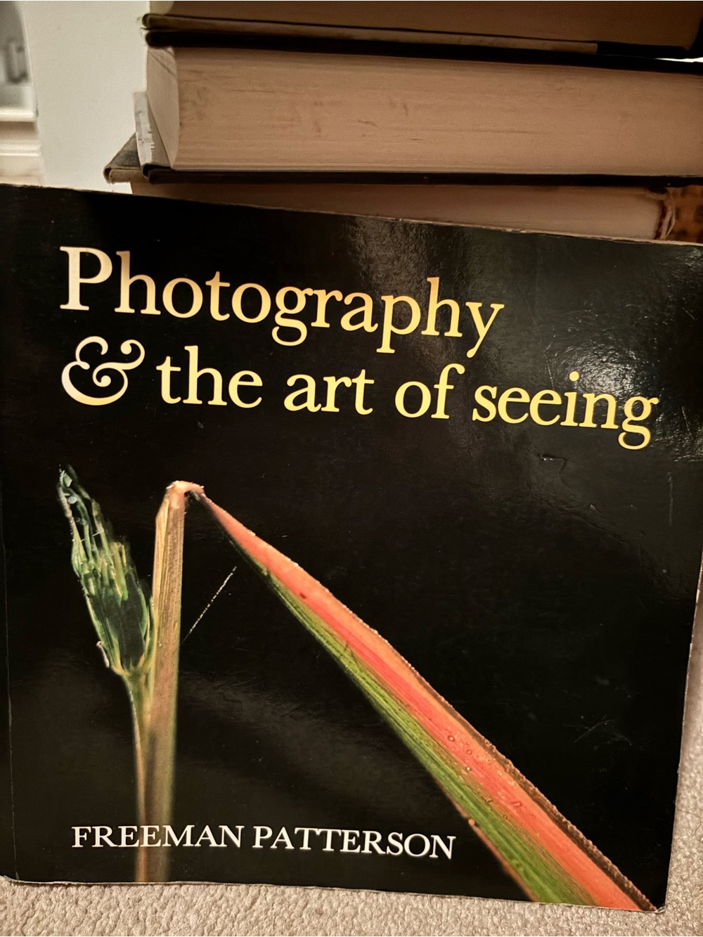 Photography & the Art of Seeing by - Black Cover